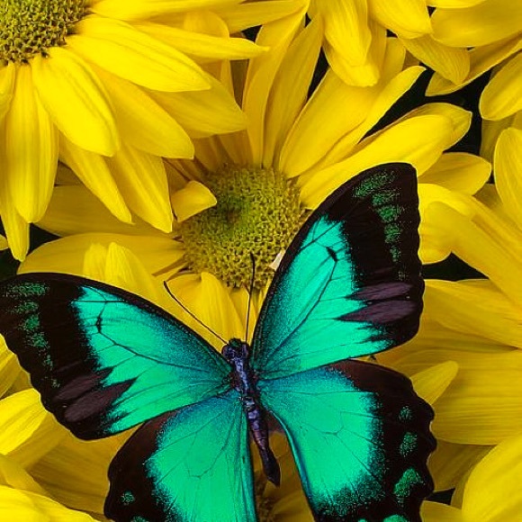 Meet your Posher, Kathi - Picture 1 of 9